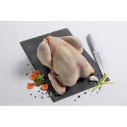 Poulet de ferme de 1,7 à 1,9 kg