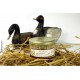 Pâté de canard (50% foie gras) - 100g